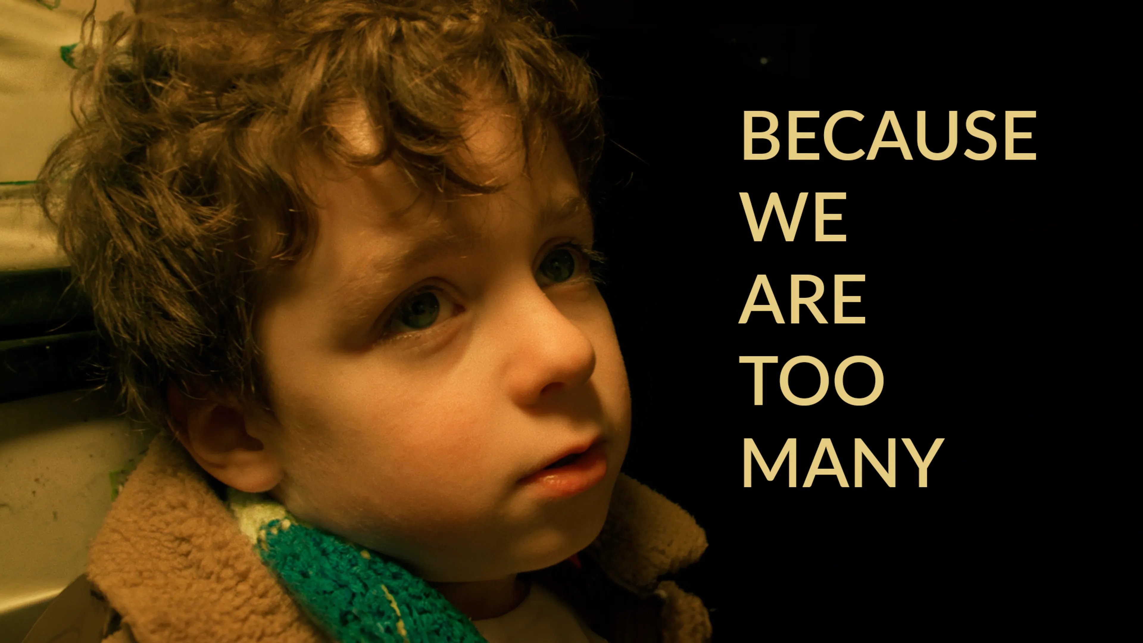 Because We Are Too Many poster